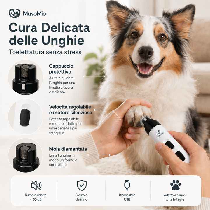 Confronto prima e dopo la cura delle unghie di un cane con LimaZampa