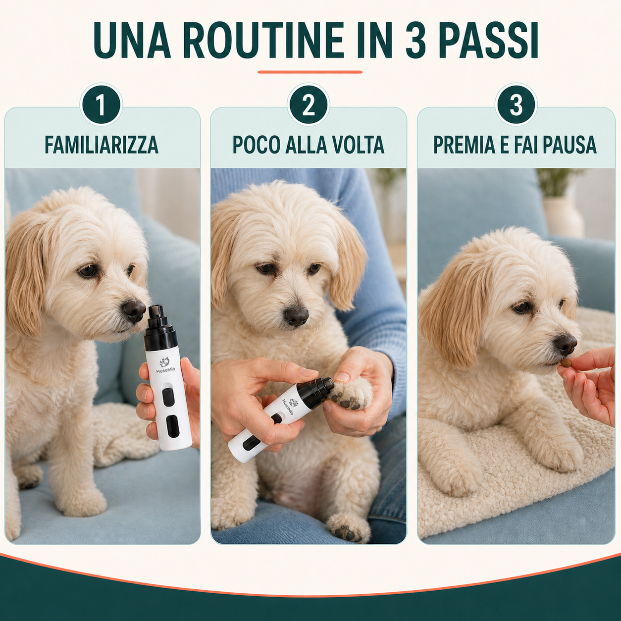 Routine LimaZampa in tre passi