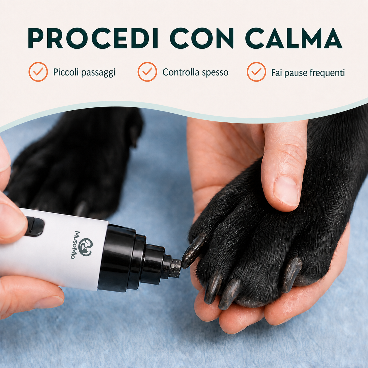 Uso graduale di LimaZampa